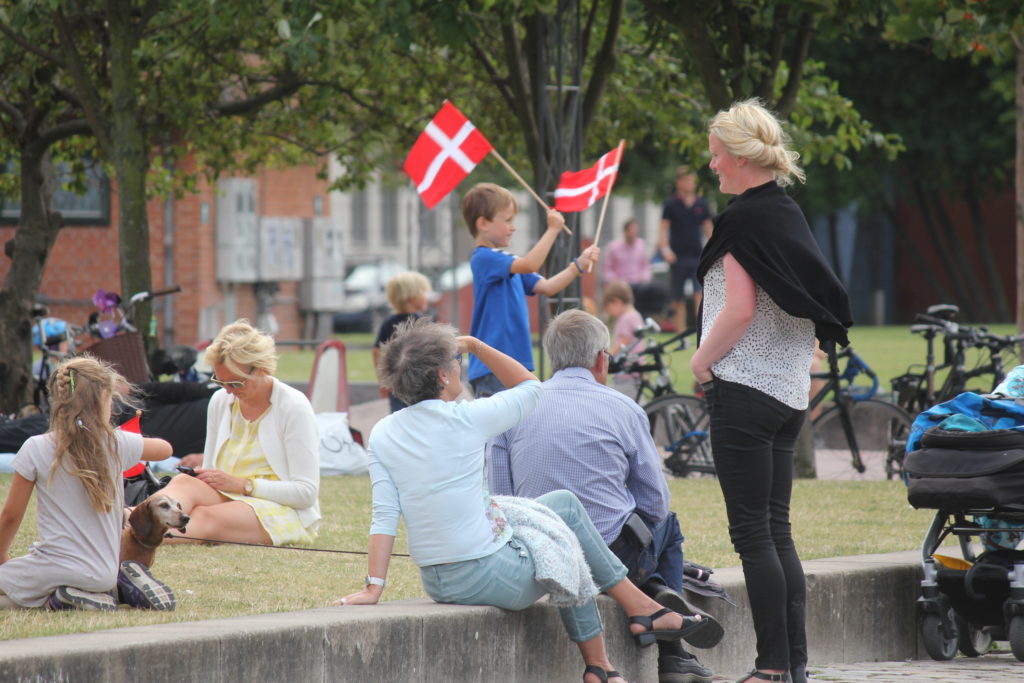 Danish flags in park